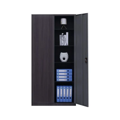 Steel Vertical Filing Cabinet Storage with Hinged Door